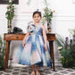 Margaret fluffy blue sequin panel dress