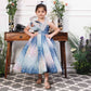 Margaret fluffy blue sequin panel dress
