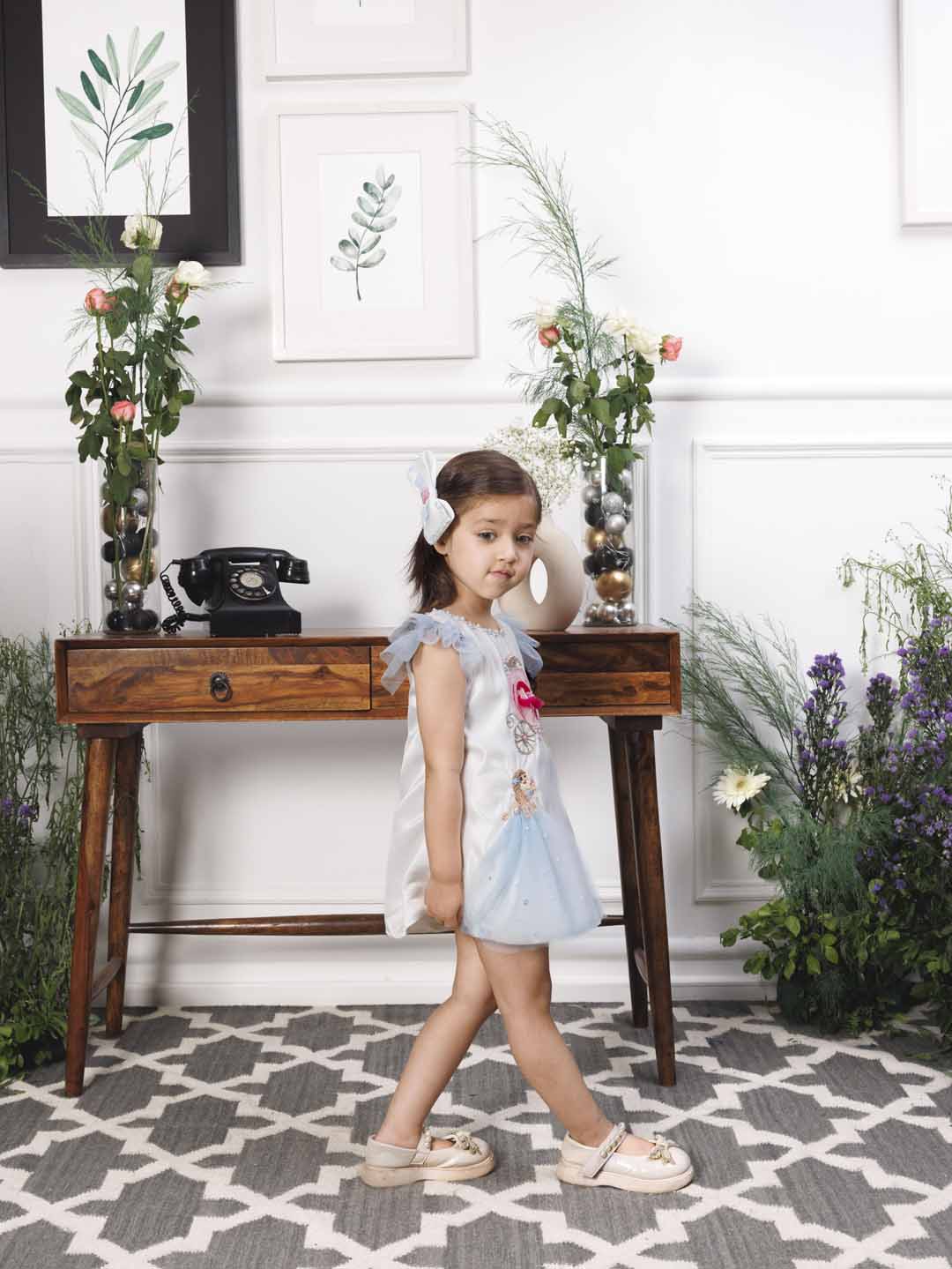 Cindrella A line satin silk dress with princess and carraige detailing