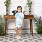Mulan blue satin A line dress